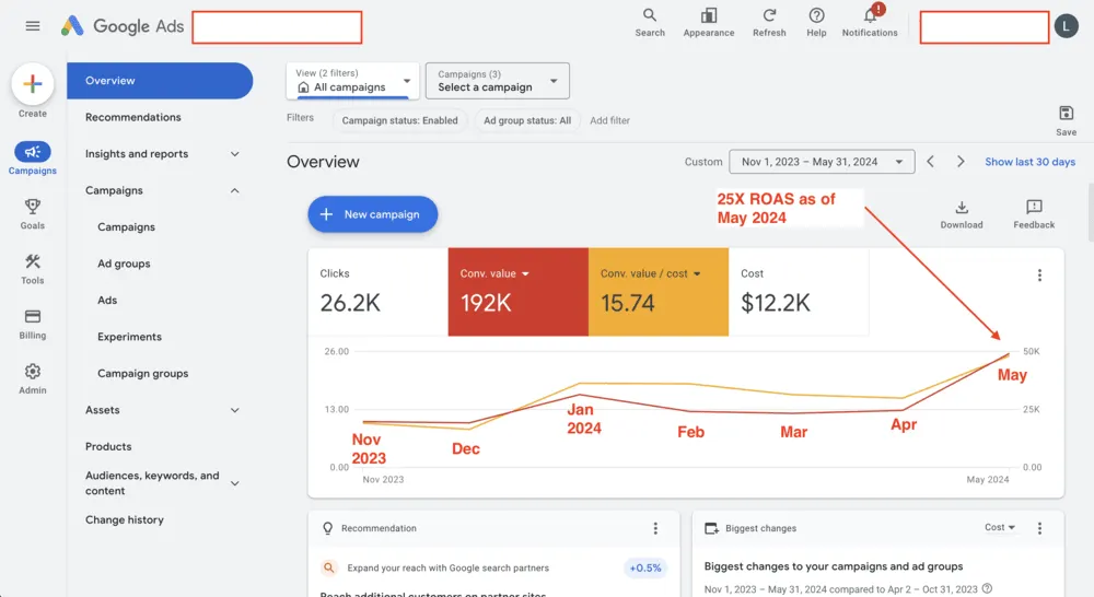 Google Ads report showing 25x ROAS for On Rope in May 2024